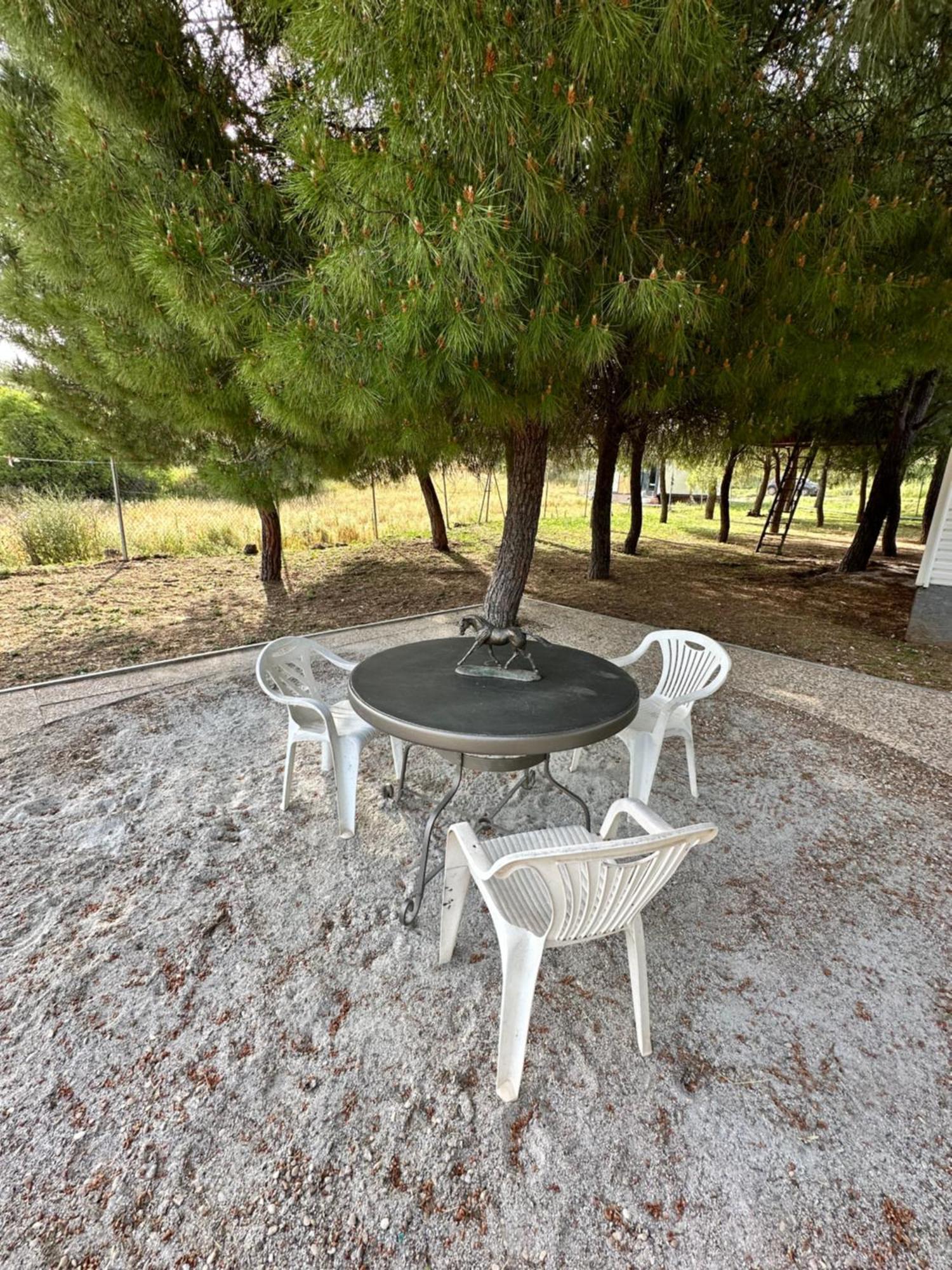 Bungalow Infanta Torrelaguna Exterior foto
